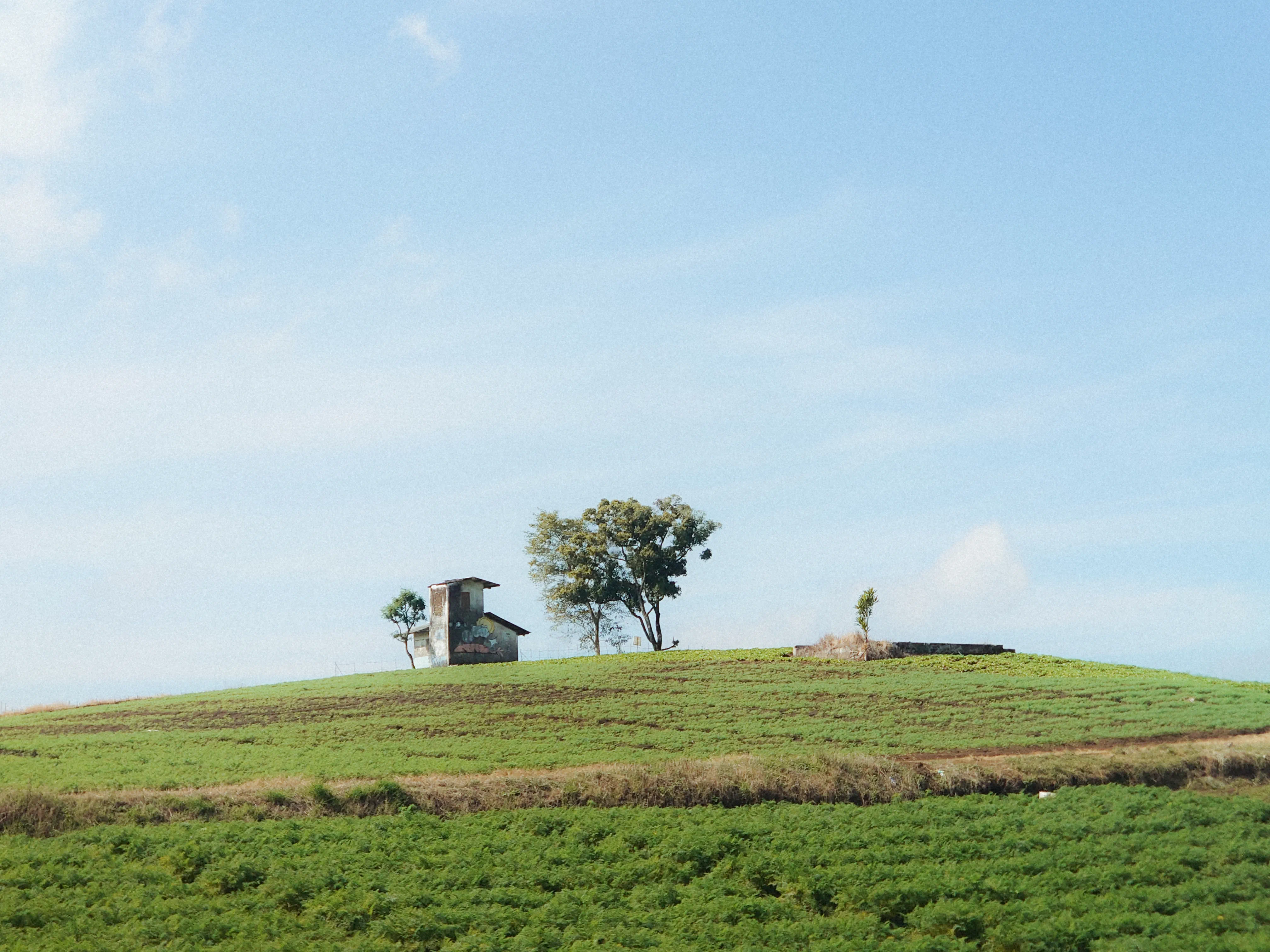 Lush green rolling farm hills of Bukit Jengkoang with a weathered concrete lookout shelter under a clear blue sky in Bumiaji, Batu